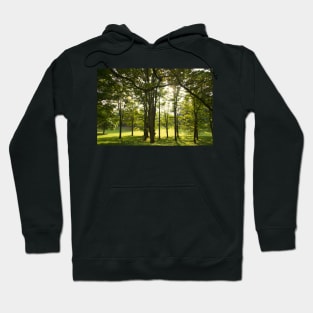 Sunshine grove Hoodie